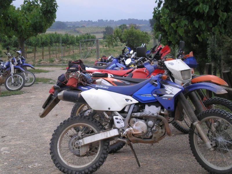 P6150563a [800x600]_jpg